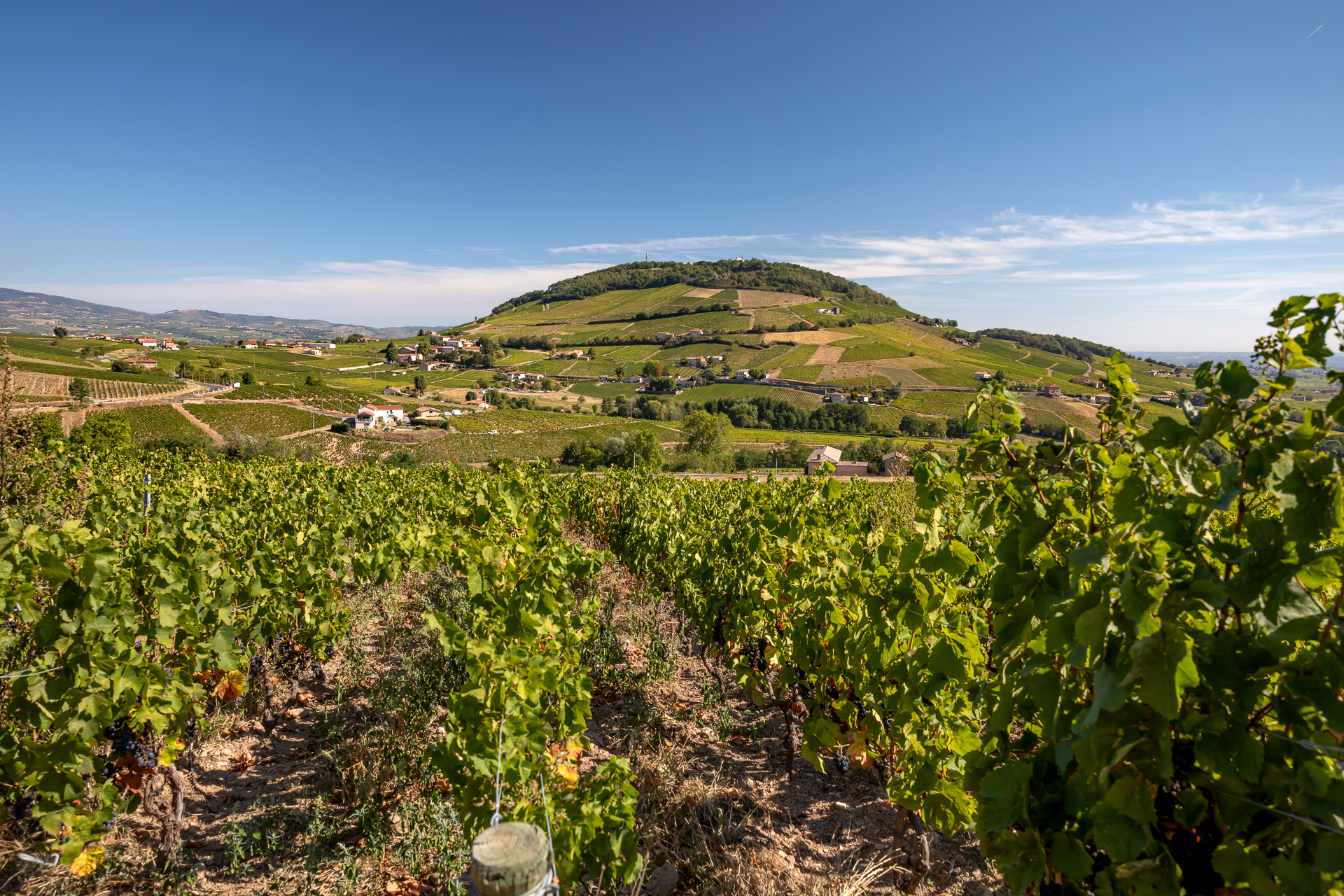 Circuit Brouilly_Odenas