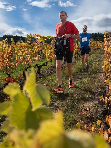 Treille Côte Roannaise