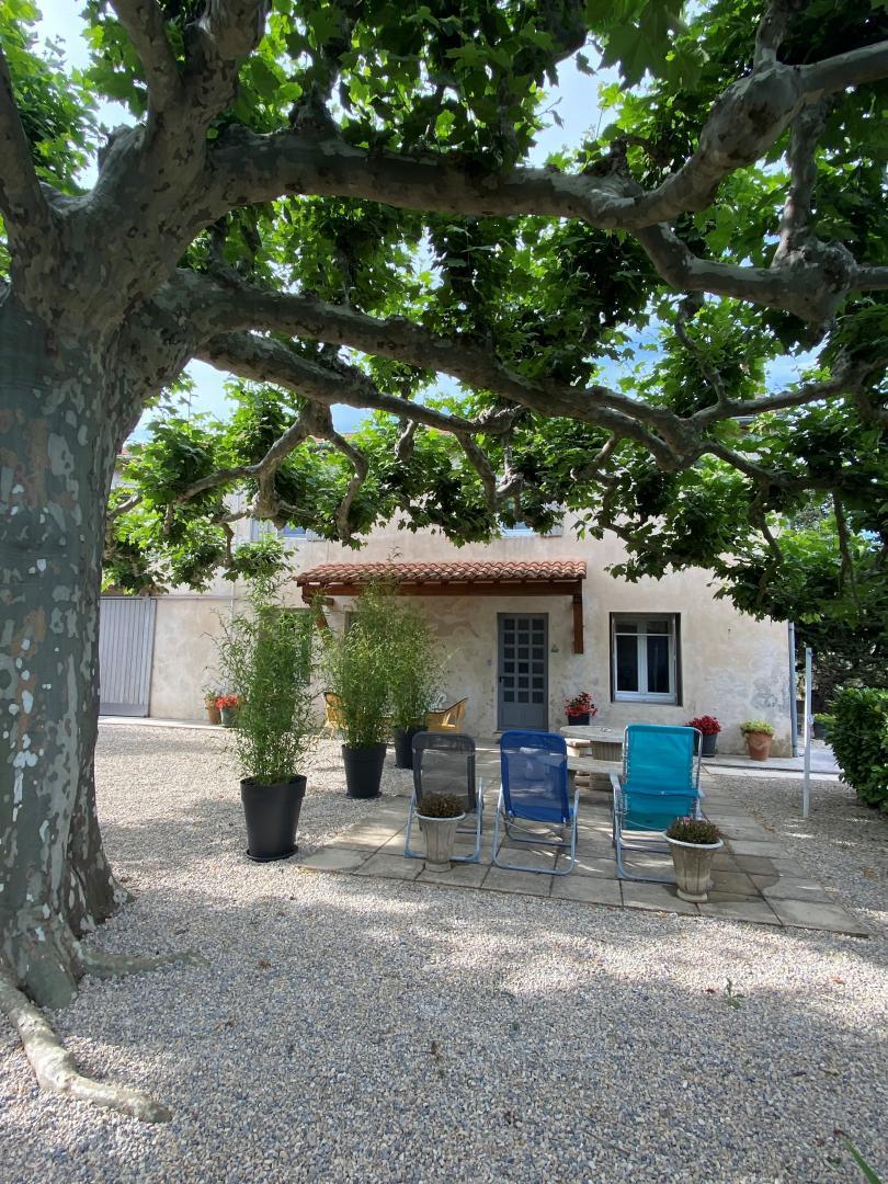 Les Oliviers, Saint-Rémy-de-Provence - photo 18