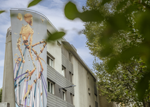 Street art Apéro_Grenoble