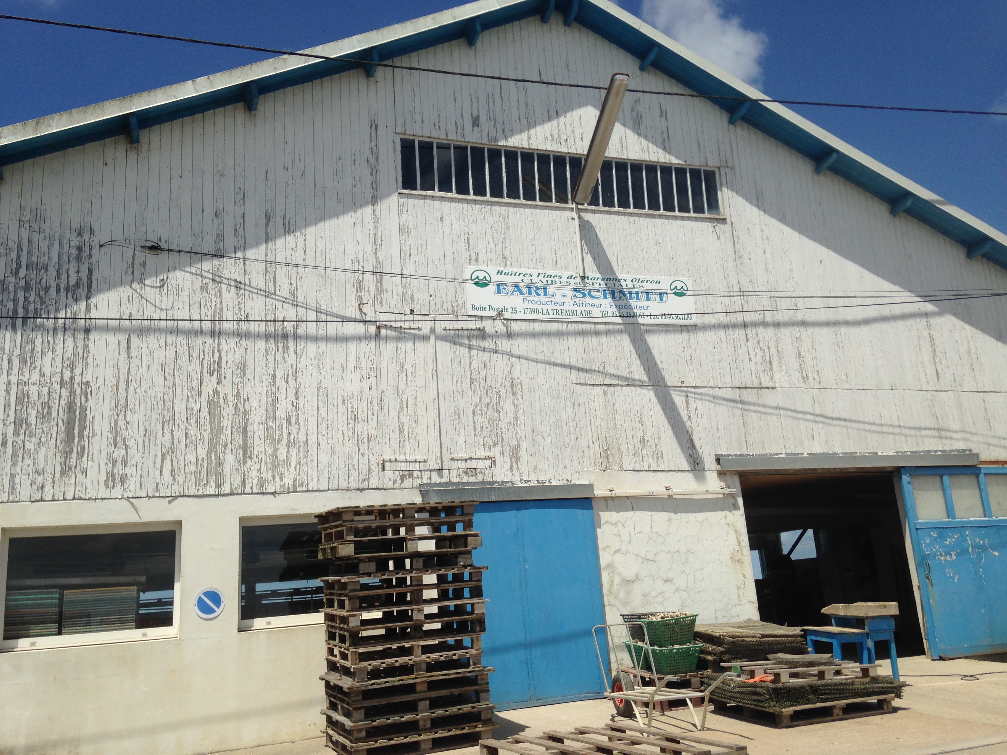 EARL Schmitt - Ostréiculteur