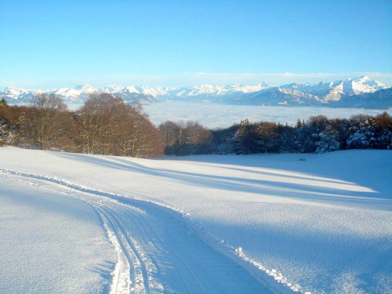 Piste de ski de fond au Salève