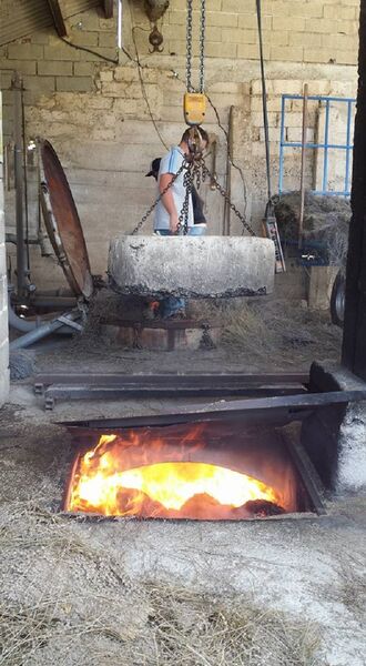 Distillerie du Vallon