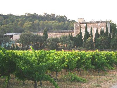 Château du Petit Sonnailler