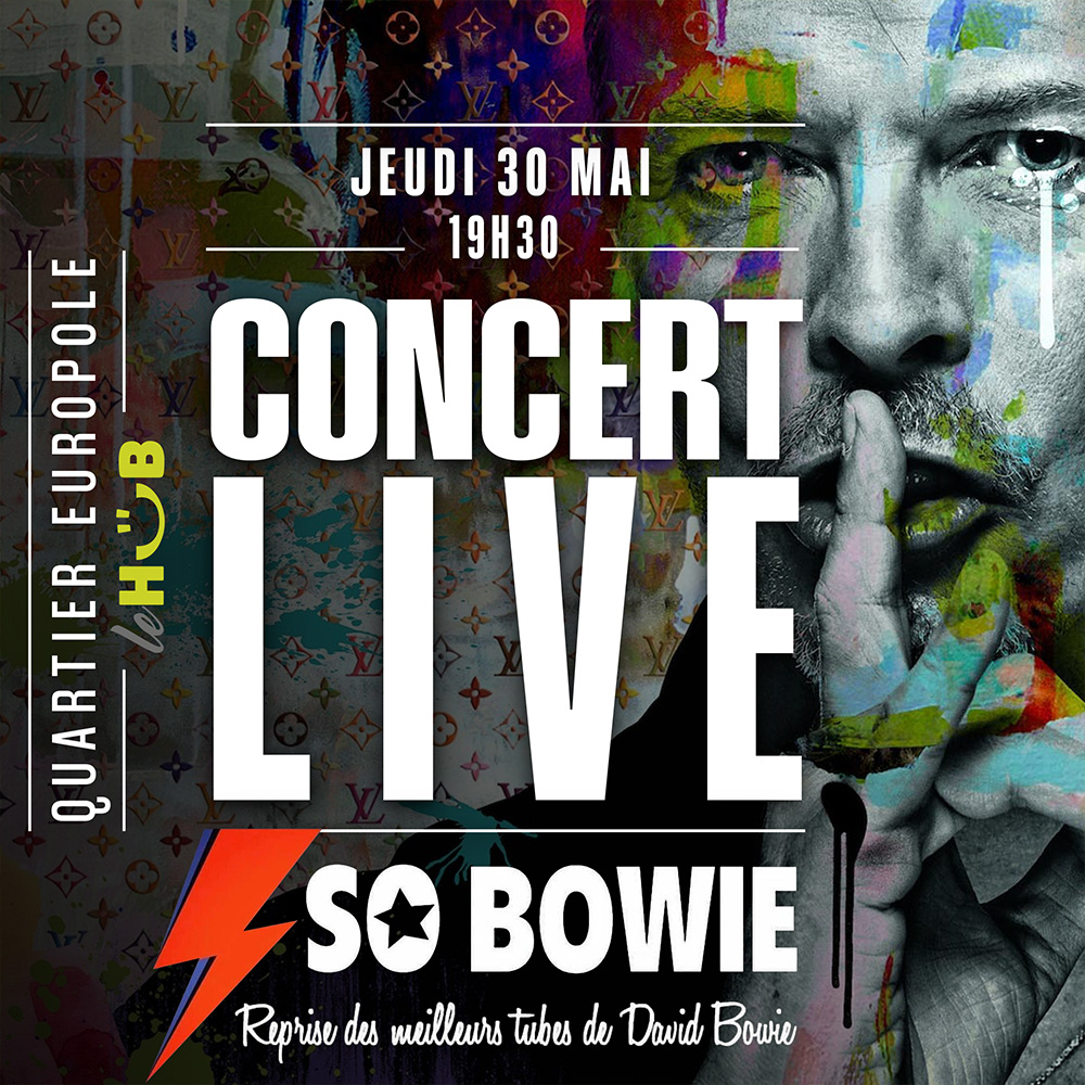 Concert - So Bowie / Tribute to David Bowie