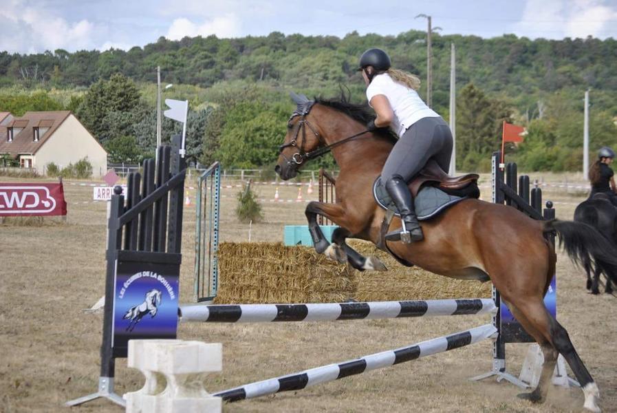 Centre d'équitation