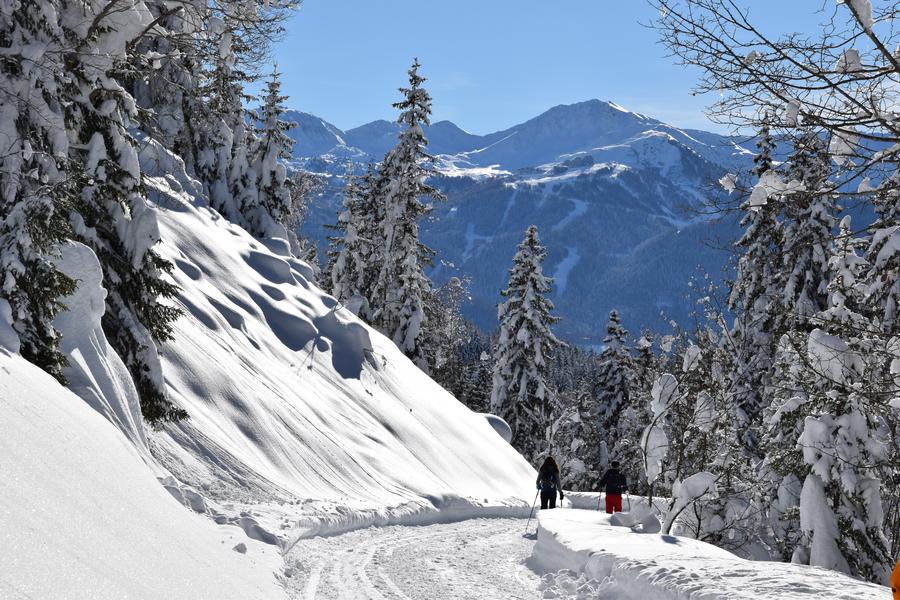 Balade à raquettes - Boucle du Bonpas_La Plagne Tarentaise