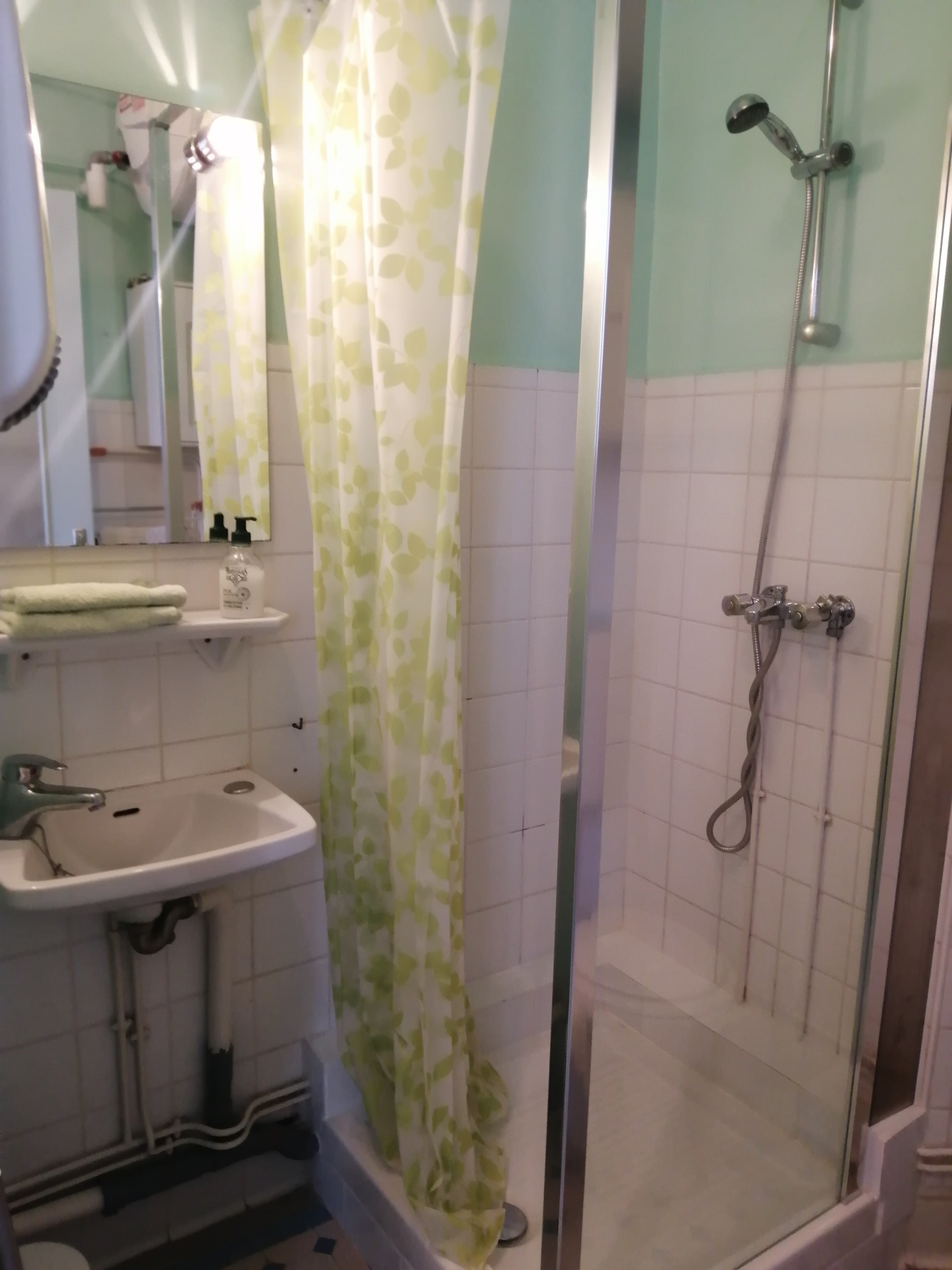 Guerin Geneviève le Splendide Aix les Bains Riviera des Alpes