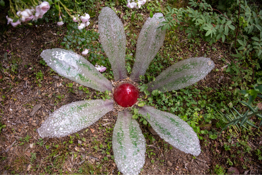 Association Colette Bonzo