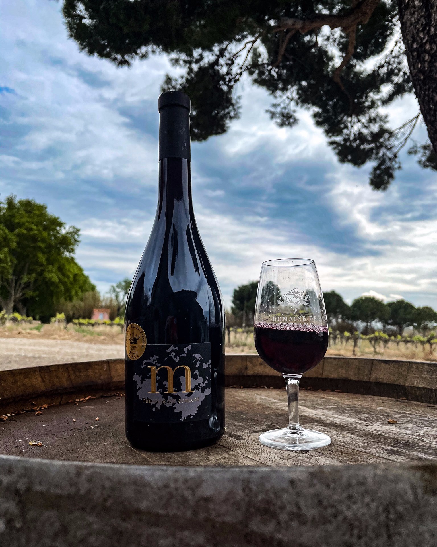 SCEA DOMAINE DE SURIANE, Saint-Chamas - photo 7