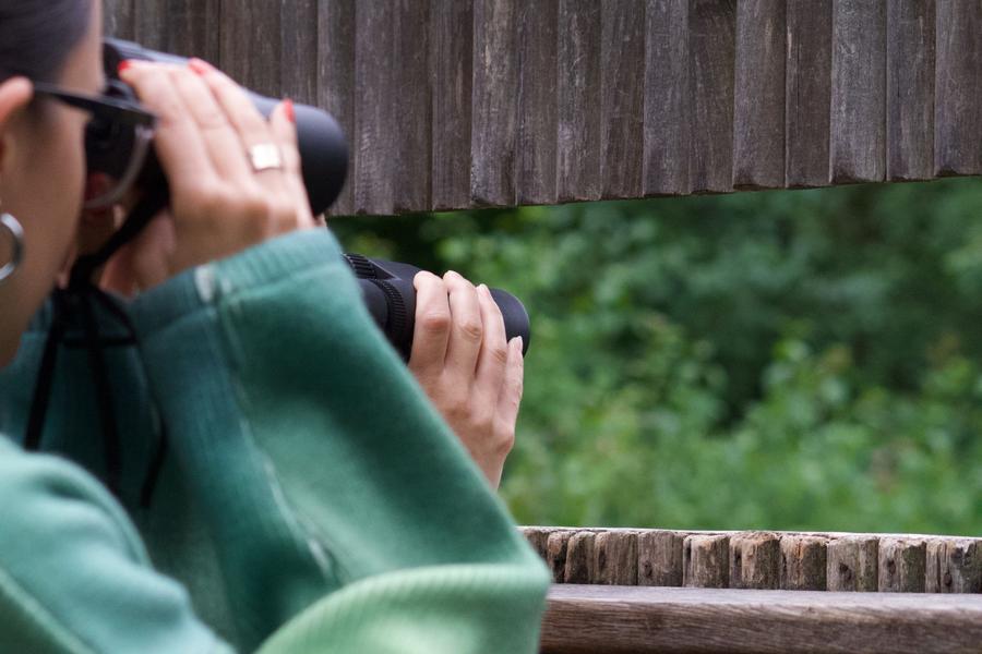 Inventaire naturaliste - Initiation aux sciences participatives 