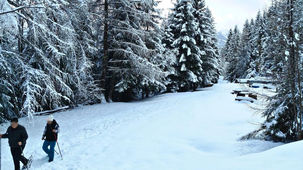 Balade à raquettes/piétons - Bonvillard, sentier des producteurs_Aime-la-Plagne