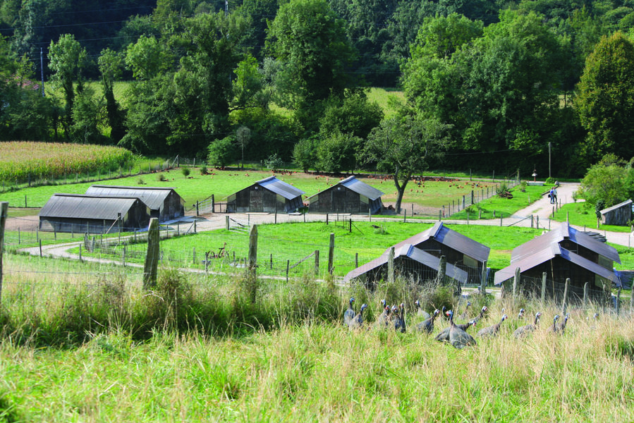 Ferme des Noirettes - Saint-Chef - cité abbatiale des Balcons du Dauphiné - nord Isère - à une heure de Lyon