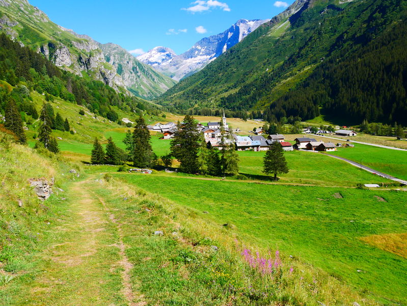 Vallon de Champagny le Haut en été