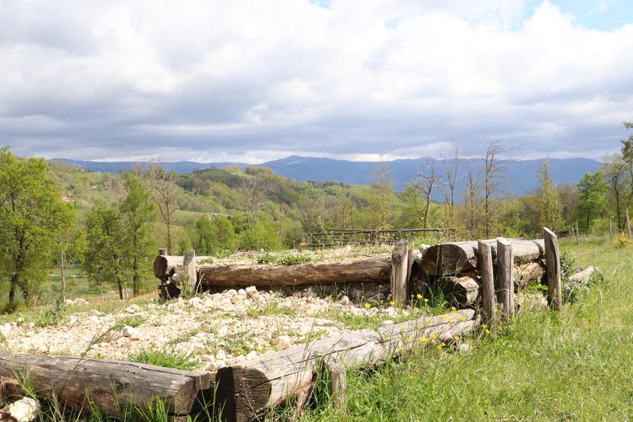 Gîte le Franquet - Sweety Ranch_Chasselay