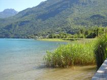 le marais vu de la plage