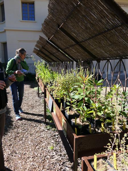 La pépinière du Domaine du Rayol_Rayol-Canadel sur Mer