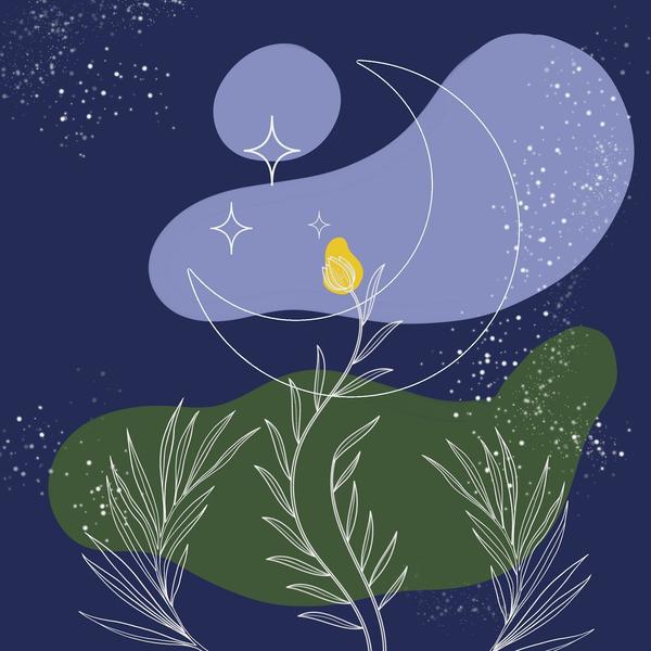 - © Image par Xenia Sarapulova de Pixabay Marché Nocturne_Saint-Julien-en-Beauchêne - © Image par Xenia Sarapulova de Pixabay