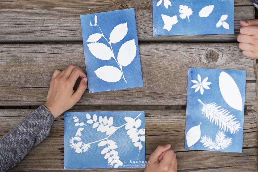 Animation : art et nature