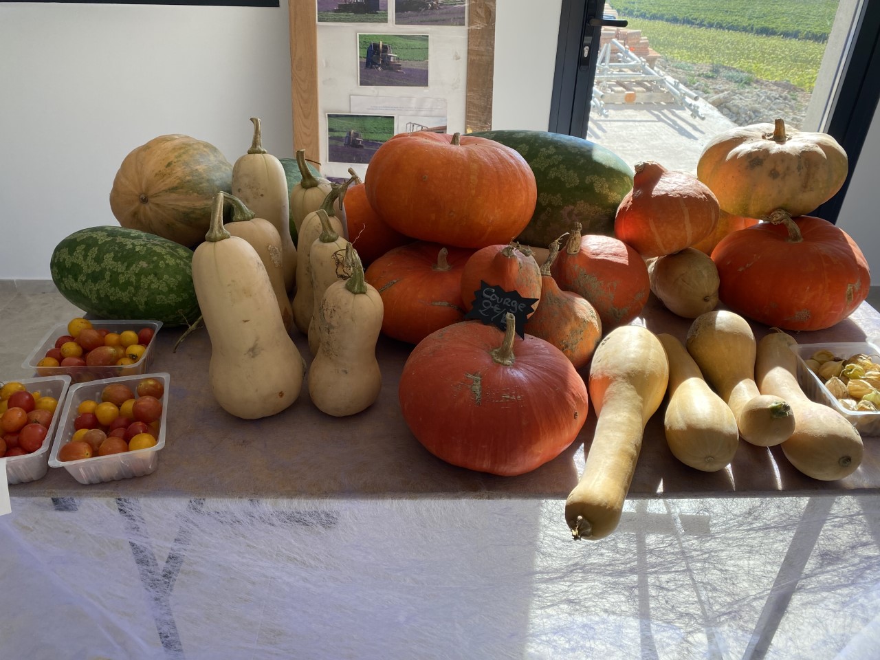 Légumes