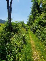 Planachat et la ferme Guichard