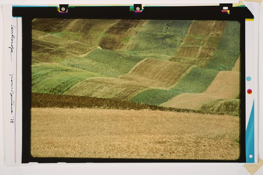 Lanscape 1978