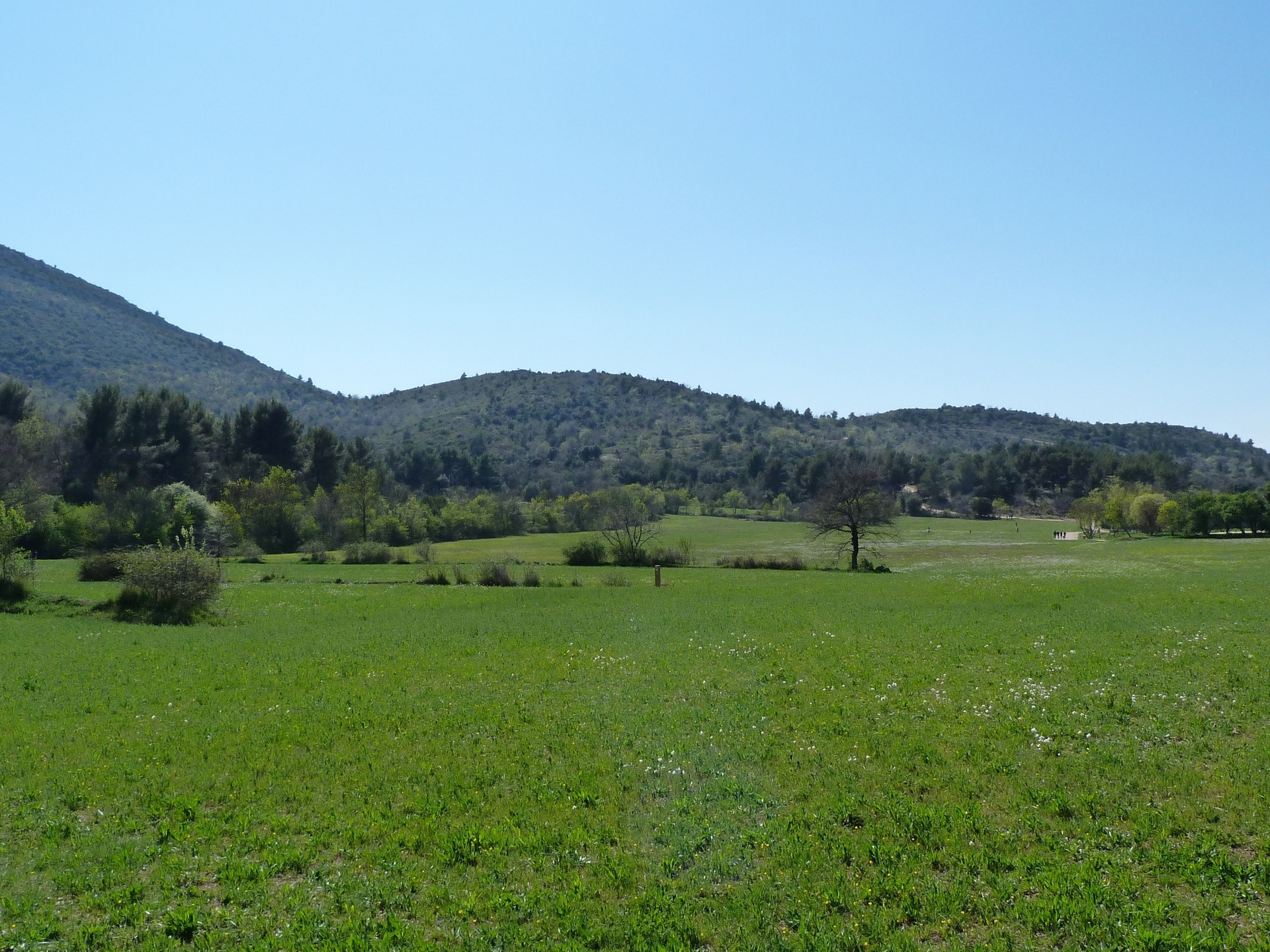 Circuit pédestre dans le Domaine Départemental de Pichauris "Les Grands Ubacs" — photo 2