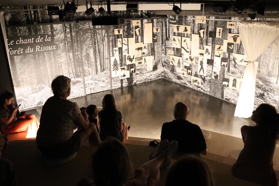 Salle d'immersion sonore