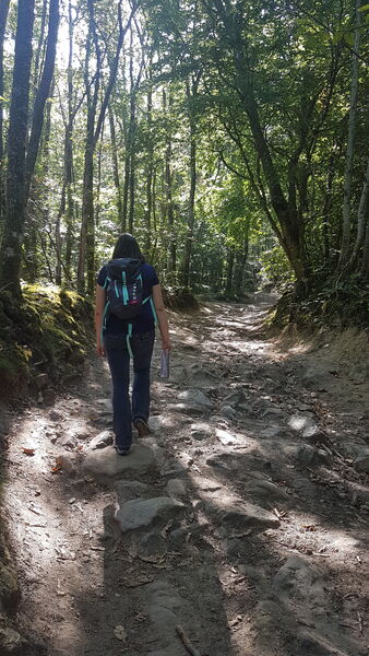 Balade en Vallons Pollionnay