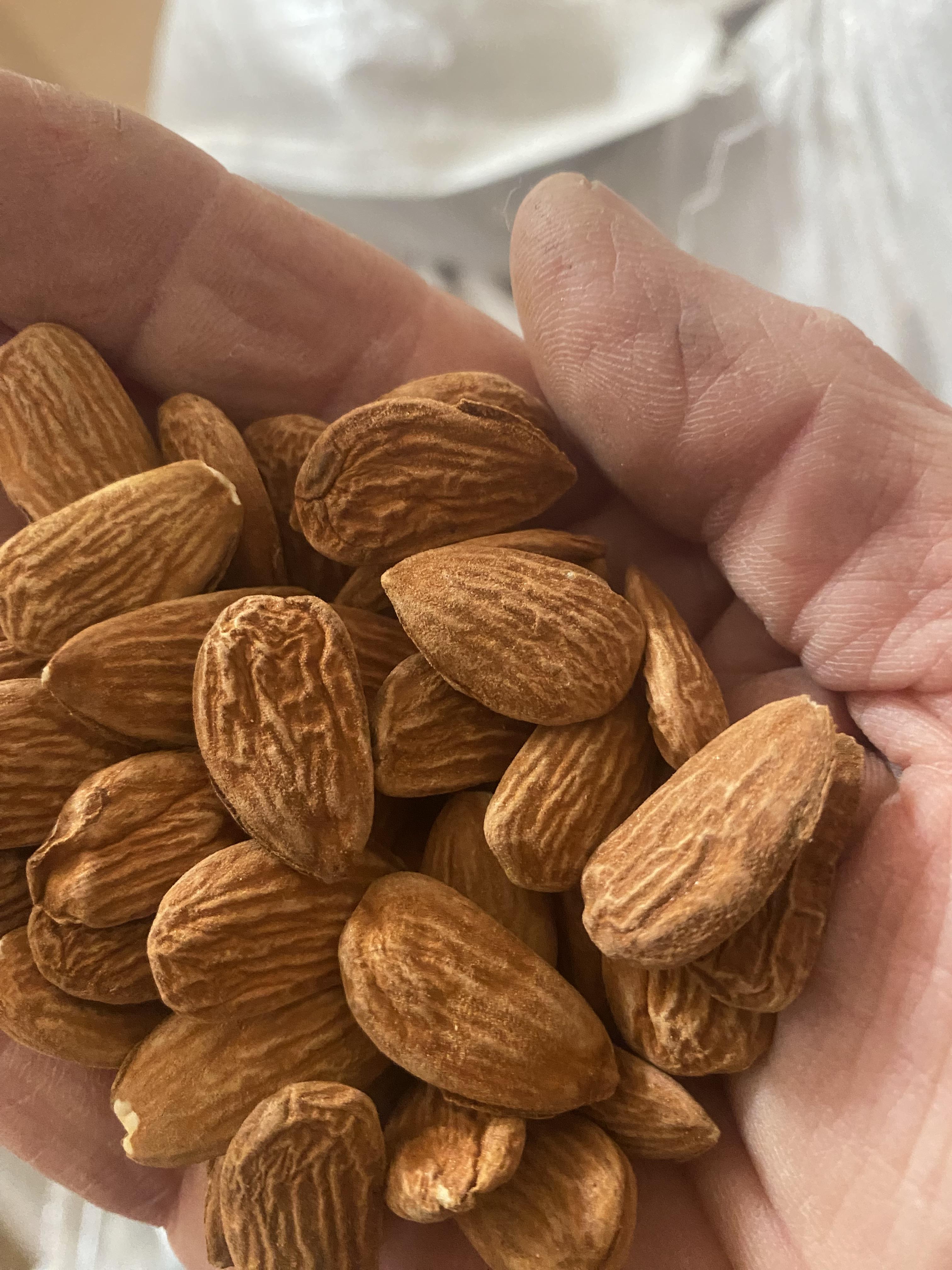 Lavam'din - Hervé Lauzier, amandiculteur