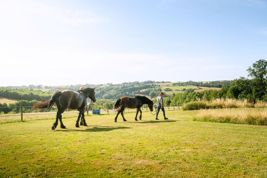 Les Chemins de Mandrin - Chambaran