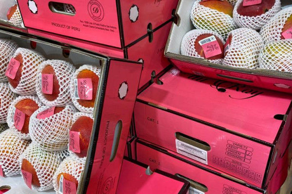 Visite exclusive du M.I.N des Arnavaux