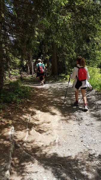 sentier pédestre : sentier forestier de Mayères
