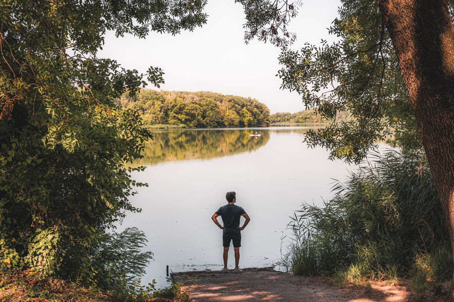Bords du Rhône à Caderousse