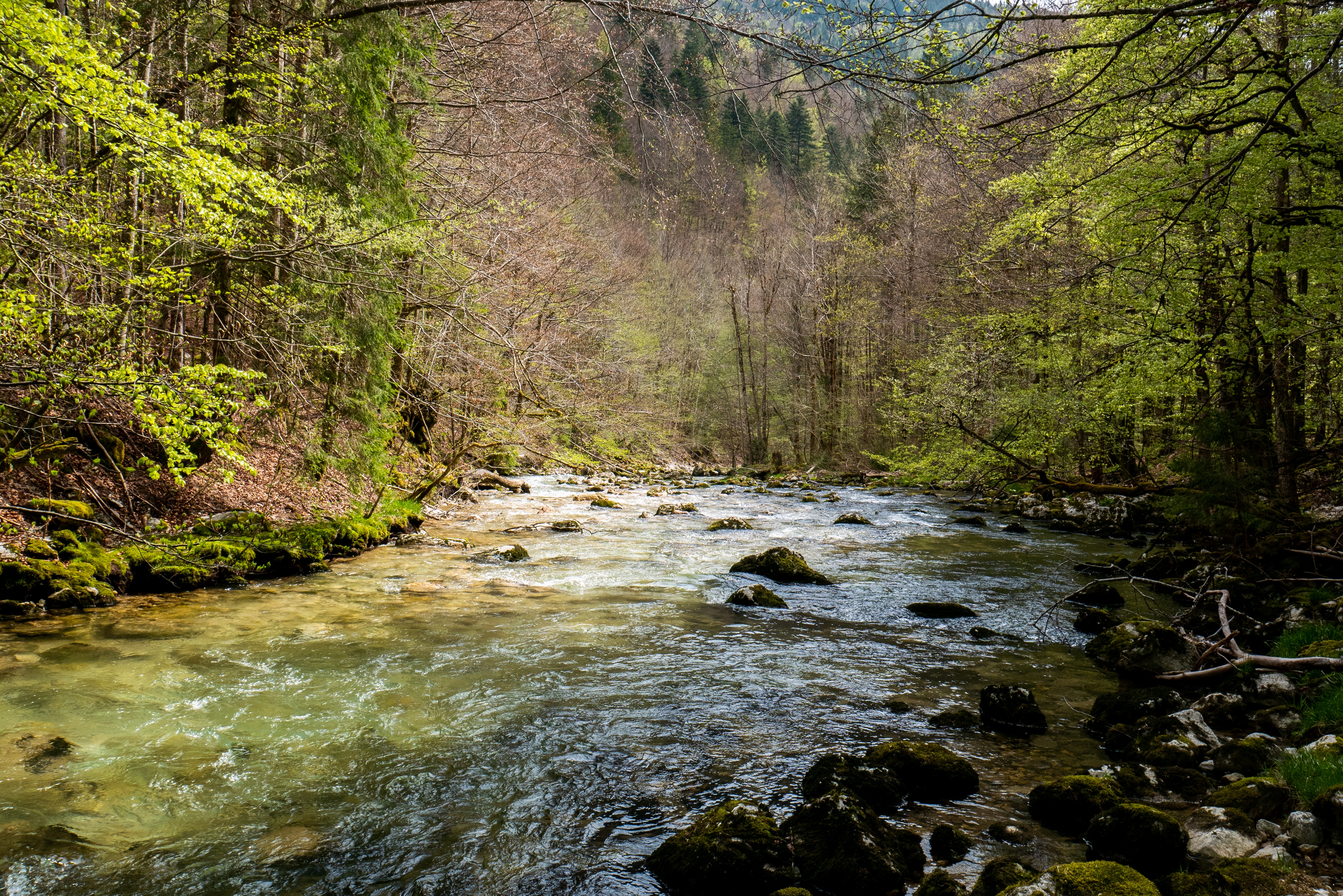 Animation nature : la rivière et les crues