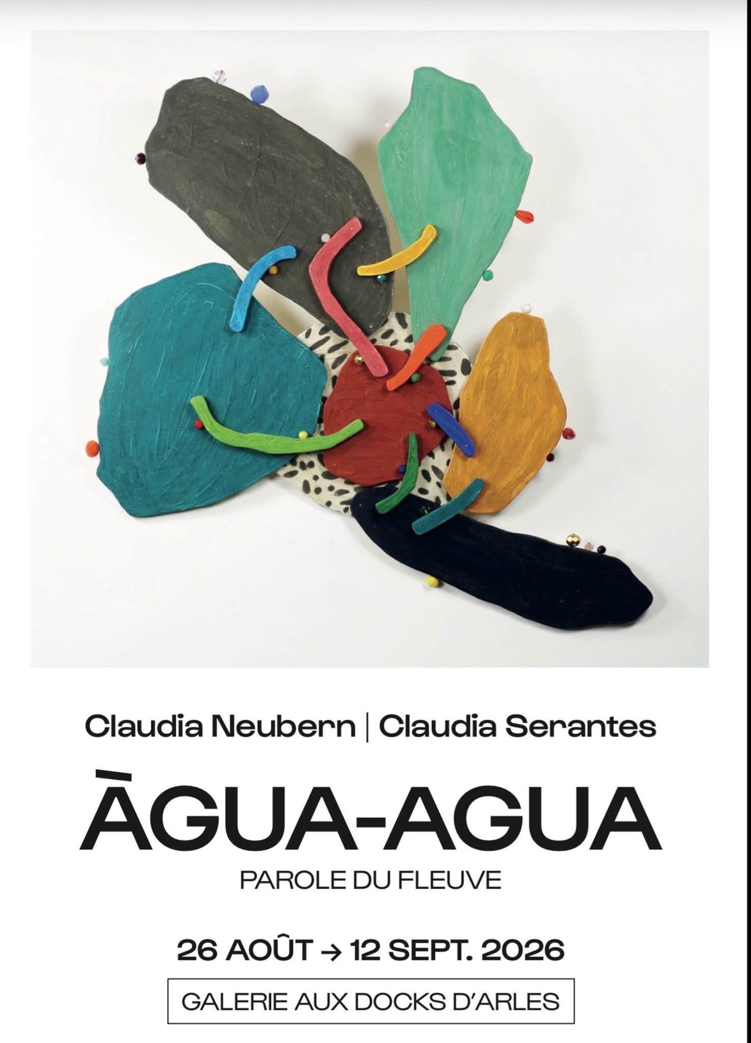 Exposition Agua – Agua et projection du film « Saudades do Rio Doce »