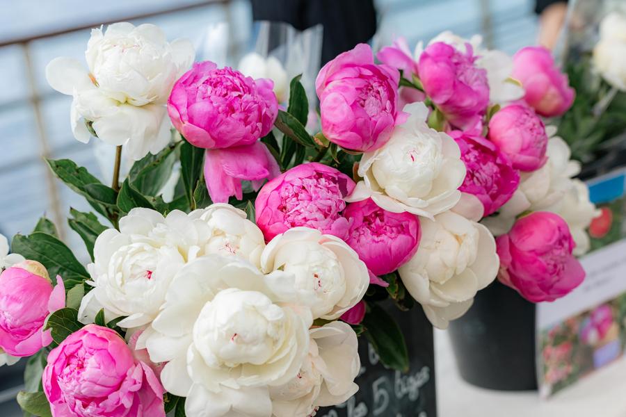 Marché Beaumont_Les Issambres (Roquebrune sur Argens)