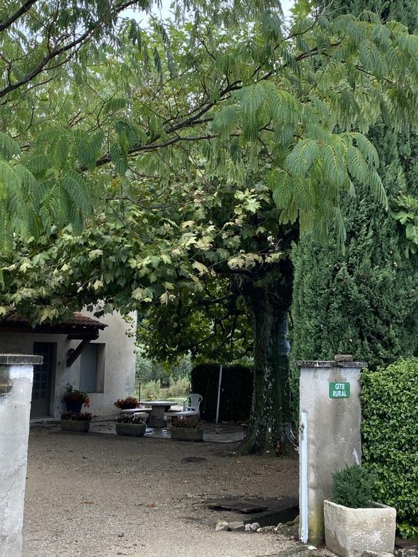 Les Oliviers, Saint-Rémy-de-Provence - photo 9