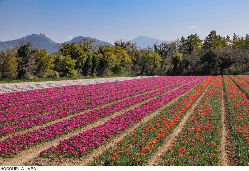 Balade de Jonquière à la VIA VENAISSIA