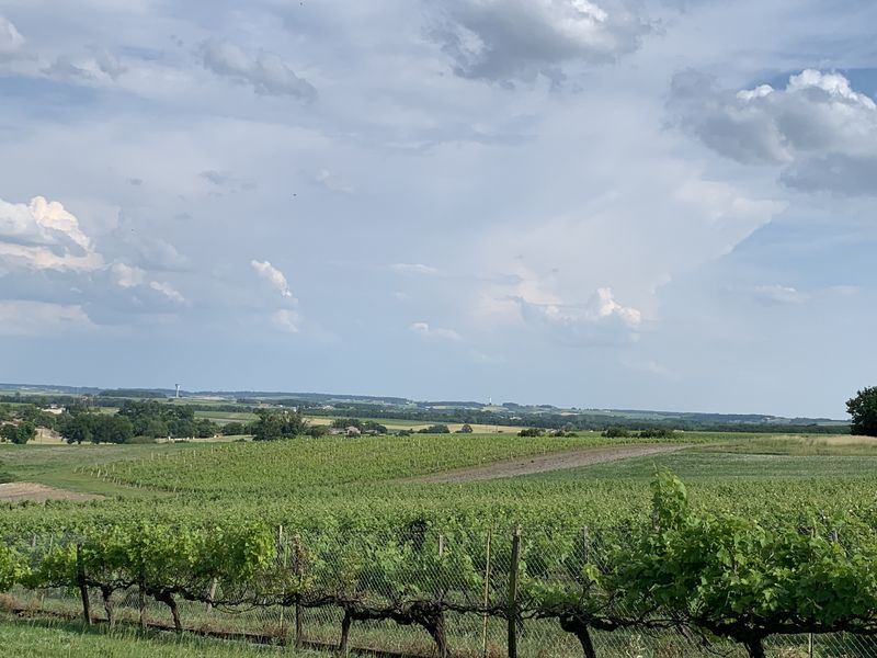 Domaine Privé Cognac