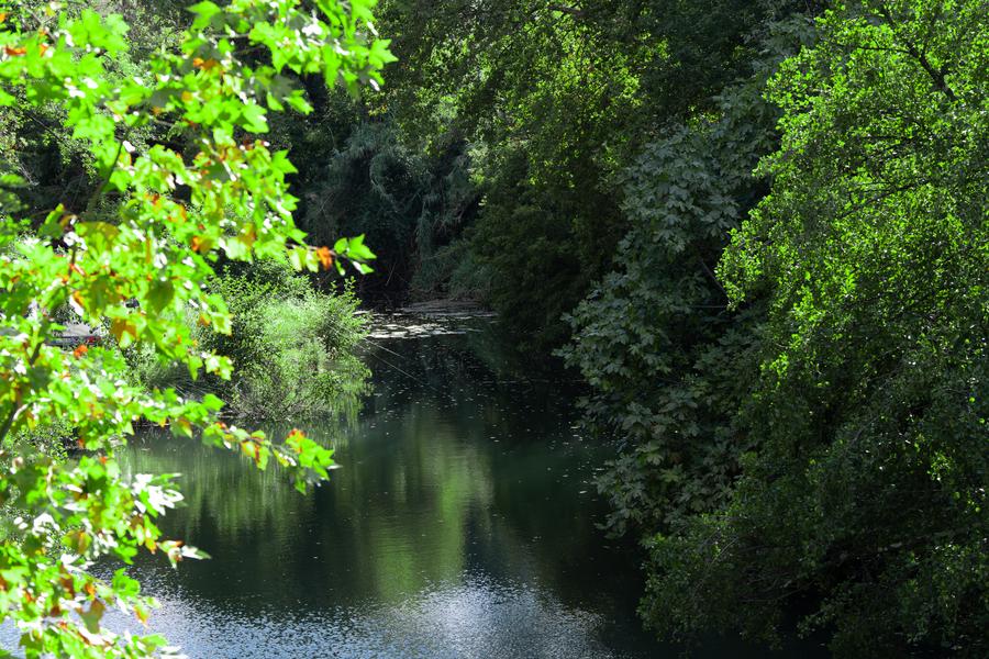Berge du Caramy_Carcès