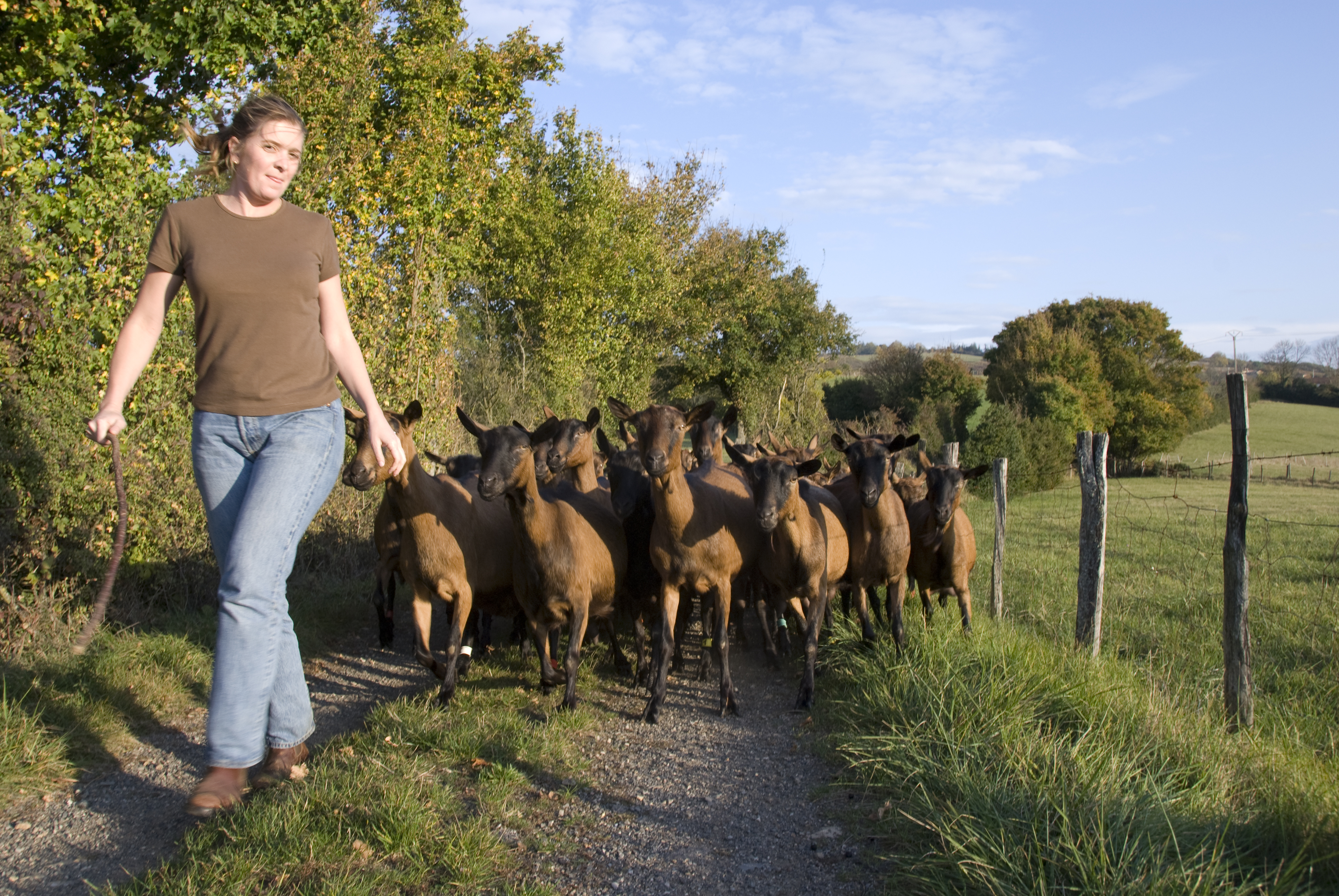 Corinne avec les chèvres