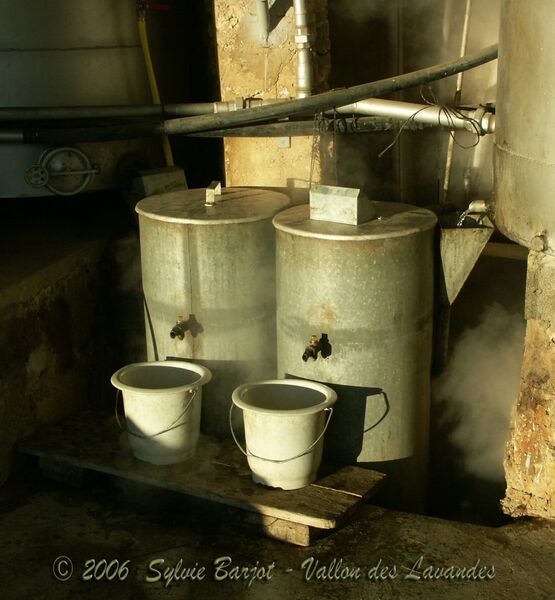 Distillerie du Vallon