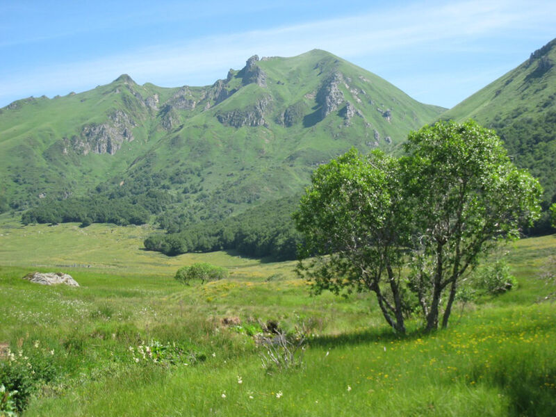 Réserve Naturelle de Chastreix-Sancy
