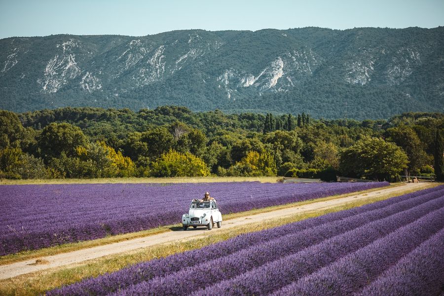 Yes Provence - Luberon - 2023