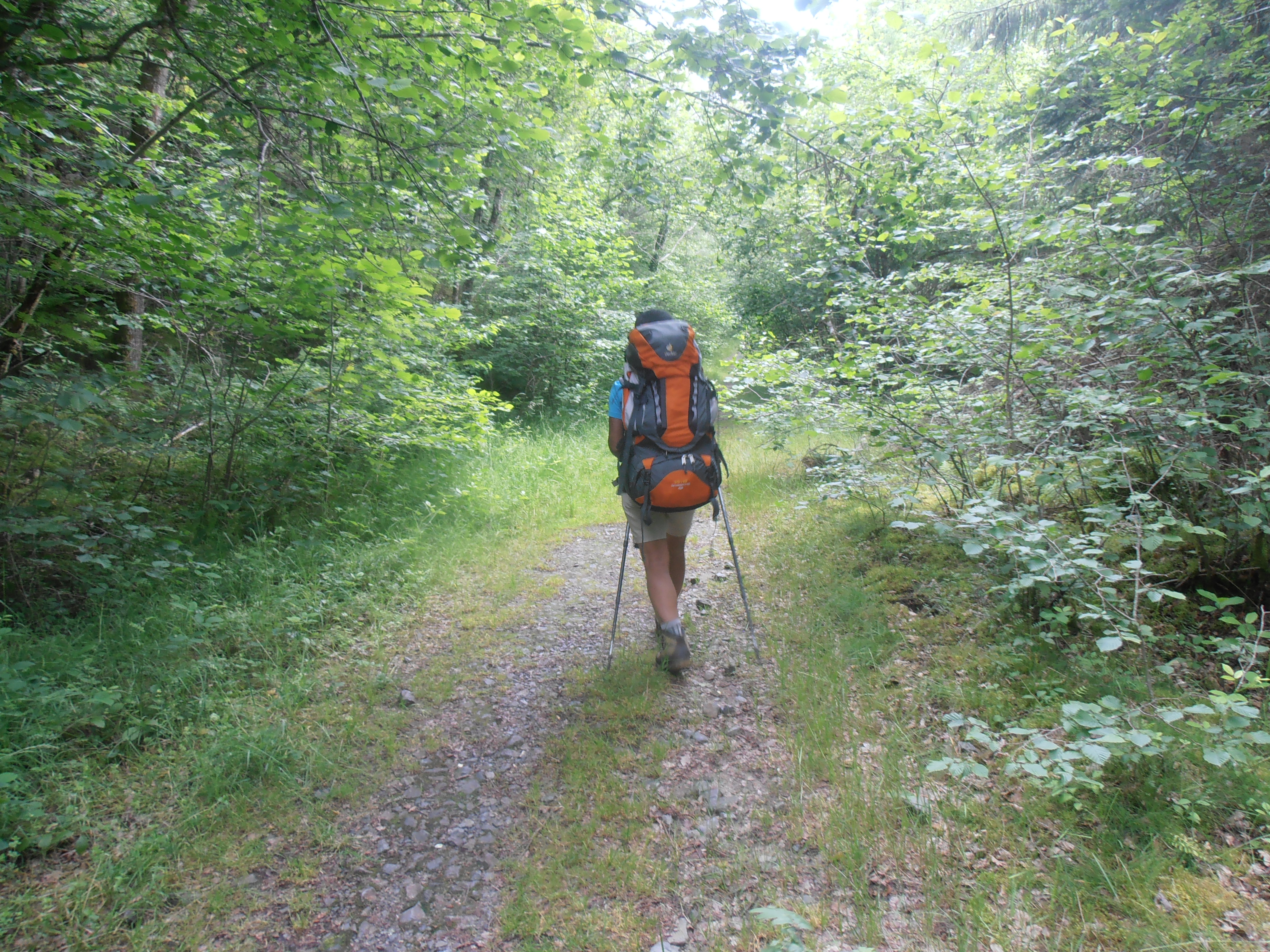 Randonnée La forêt du Quartier