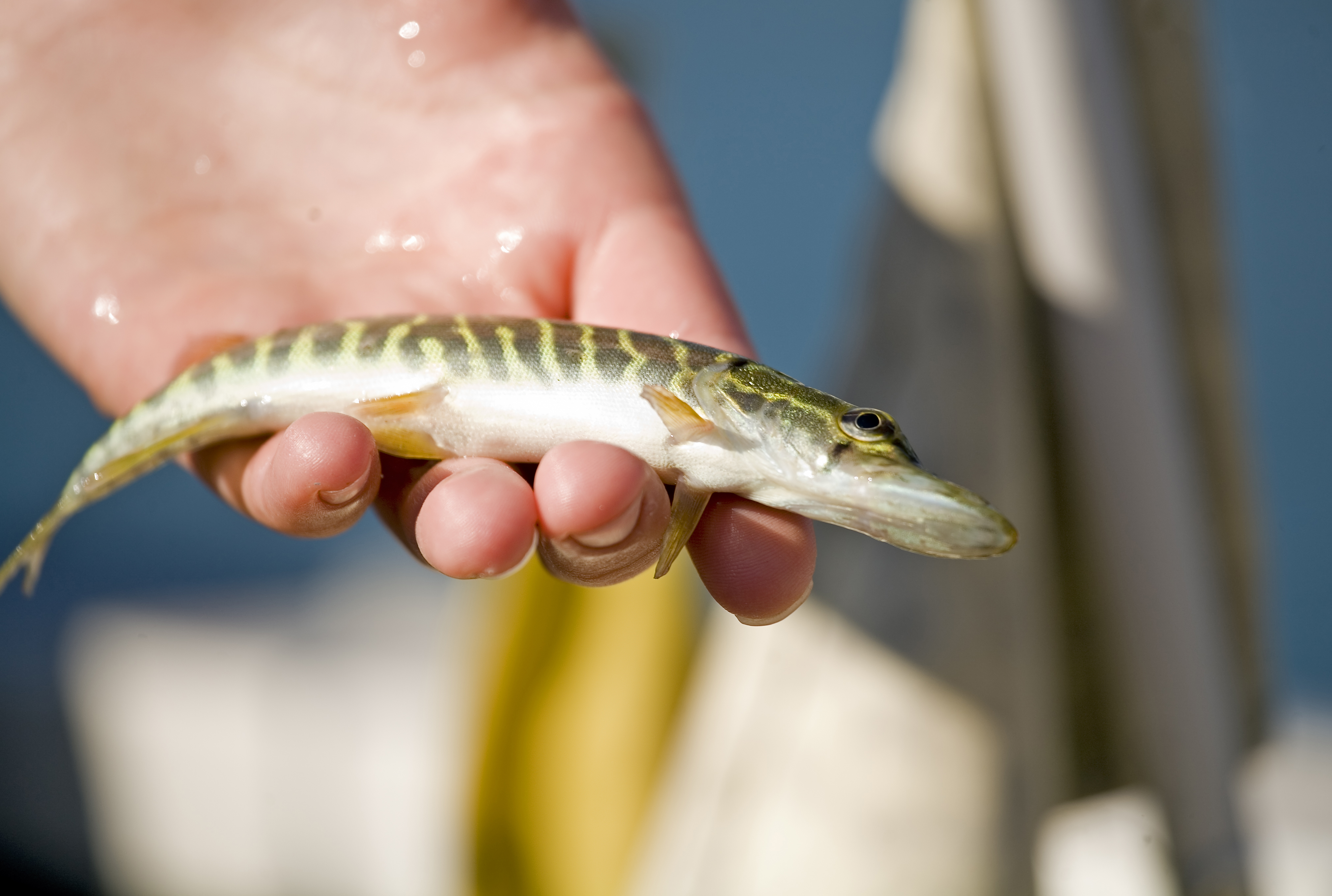 Les Ateliers du Lac à Aqualis