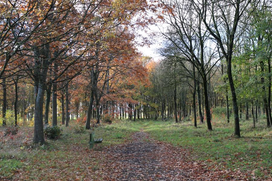 Arboretum de Chatillon-sur-Chalaronne