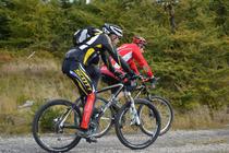 VTT