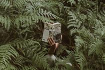 Le festin de pierres, aux sources des inspirations de Jean-Marc Rochette_Le Bou…